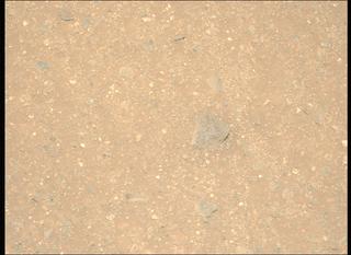 View image taken on Mars, Mars Perseverance Sol 1717: Left Mastcam-Z Camera