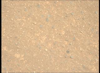 View image taken on Mars, Mars Perseverance Sol 1717: Left Mastcam-Z Camera
