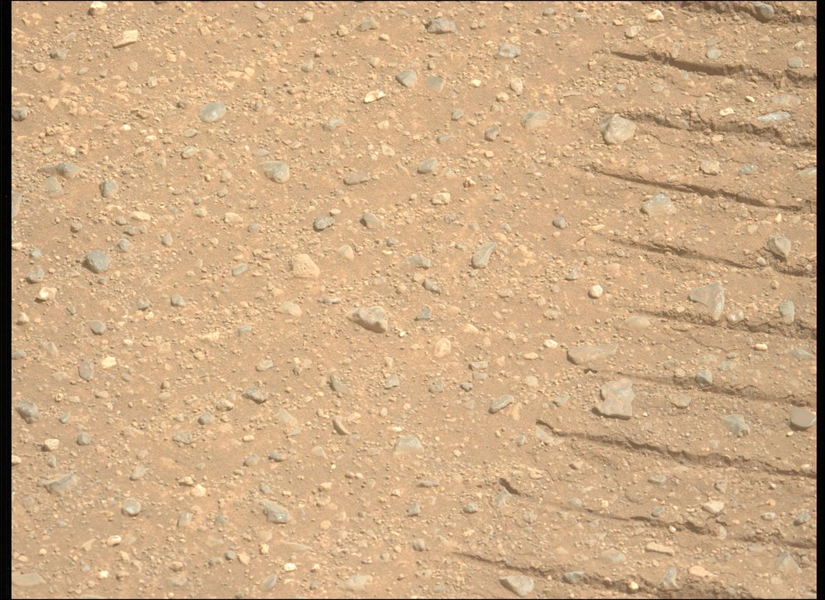 This image was taken by MCZ_LEFT onboard NASA's Mars rover Perseverance on Sol 1717