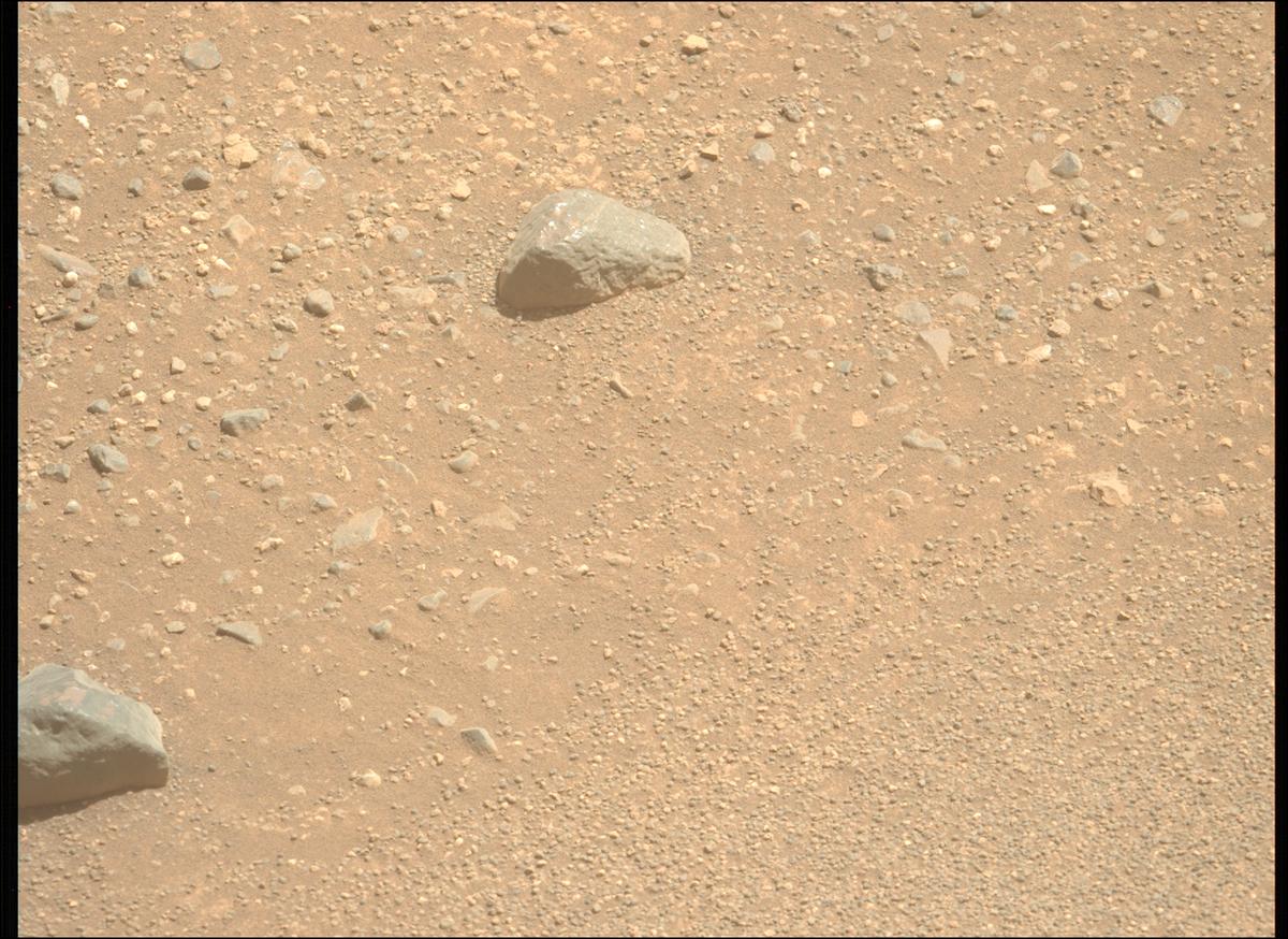 This image was taken by MCZ_LEFT onboard NASA's Mars rover Perseverance on Sol 1717