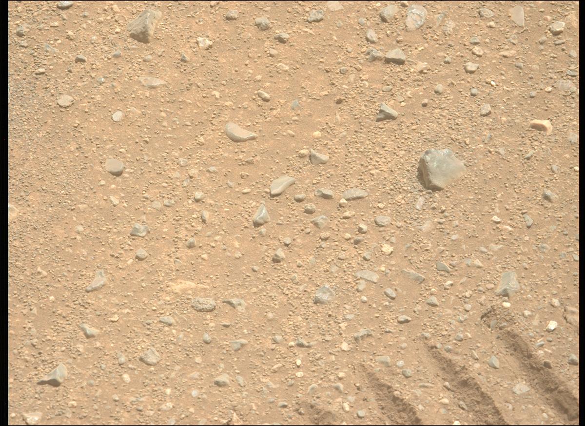 This image was taken by MCZ_LEFT onboard NASA's Mars rover Perseverance on Sol 1717