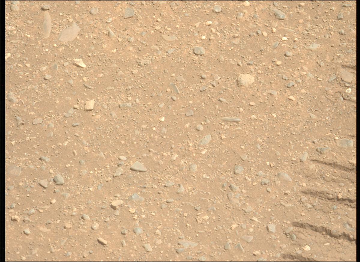 This image was taken by MCZ_LEFT onboard NASA's Mars rover Perseverance on Sol 1717