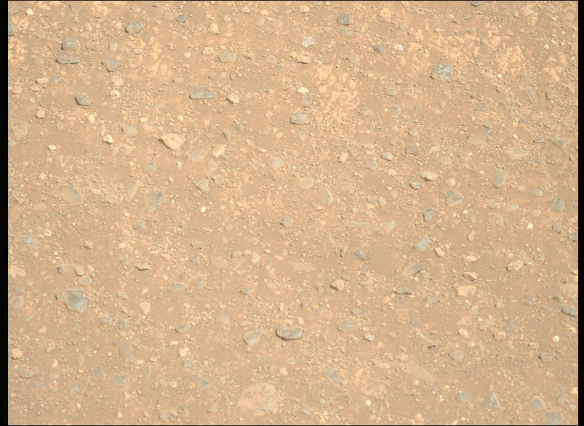 This image was taken by MCZ_LEFT onboard NASA's Mars rover Perseverance on Sol 1717