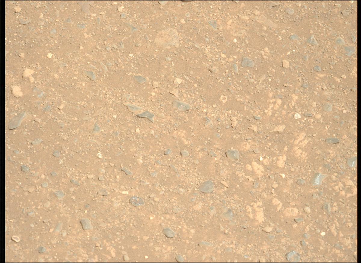 This image was taken by MCZ_LEFT onboard NASA's Mars rover Perseverance on Sol 1717