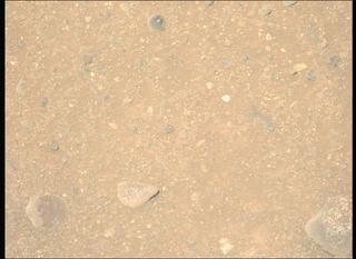 View image taken on Mars, Mars Perseverance Sol 1717: Left Mastcam-Z Camera