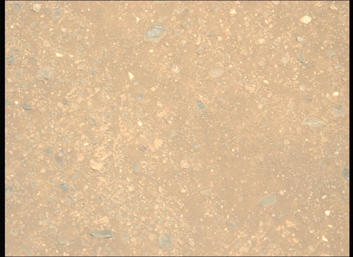 This image was taken by MCZ_LEFT onboard NASA's Mars rover Perseverance on Sol 1717