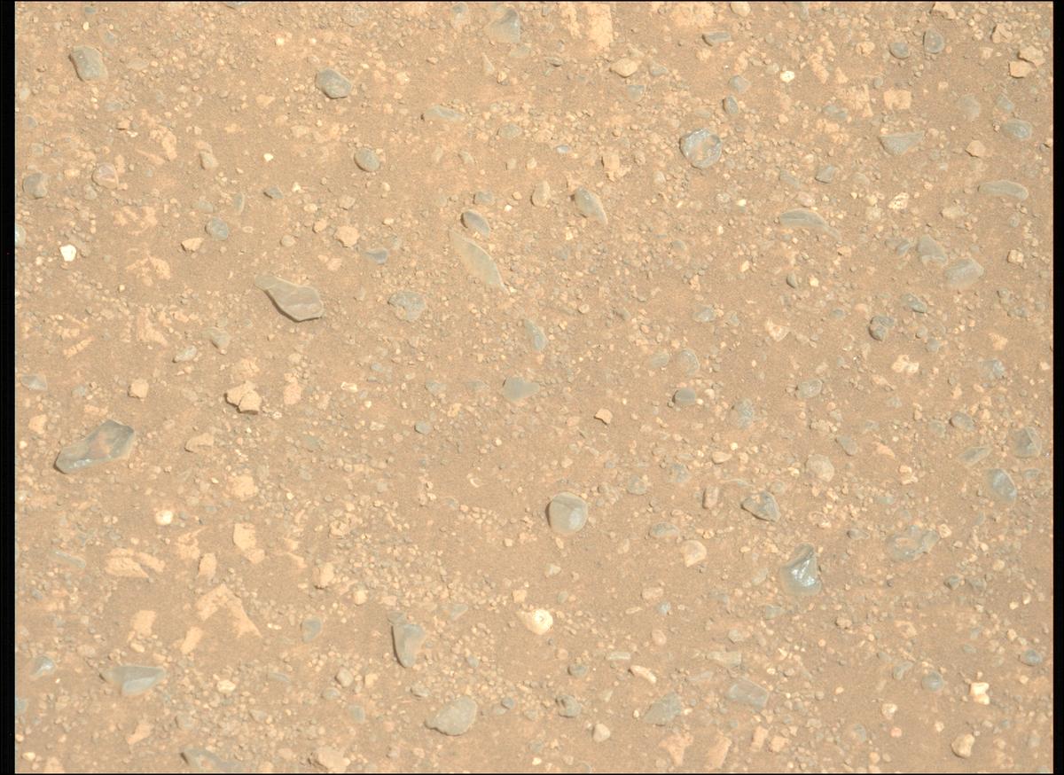This image was taken by MCZ_LEFT onboard NASA's Mars rover Perseverance on Sol 1717