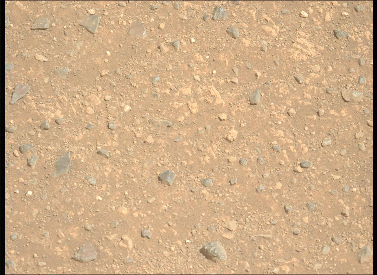 This image was taken by MCZ_LEFT onboard NASA's Mars rover Perseverance on Sol 1717