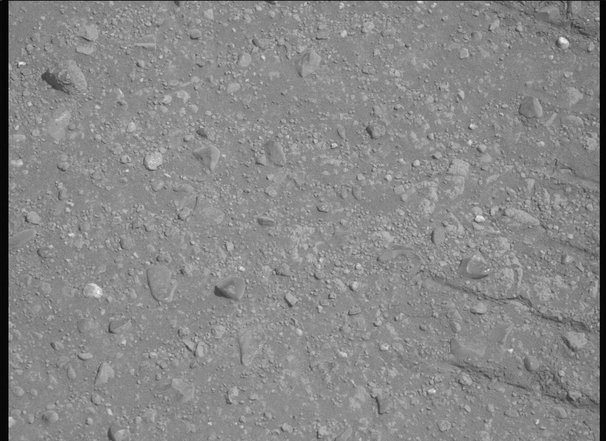 This image was taken by MCZ_LEFT onboard NASA's Mars rover Perseverance on Sol 1717