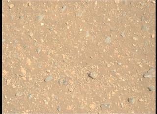 View image taken on Mars, Mars Perseverance Sol 1717: Left Mastcam-Z Camera
