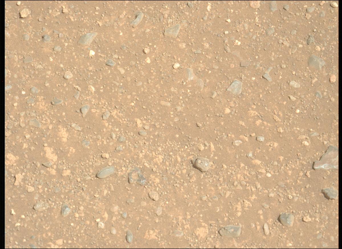 This image was taken by MCZ_LEFT onboard NASA's Mars rover Perseverance on Sol 1717