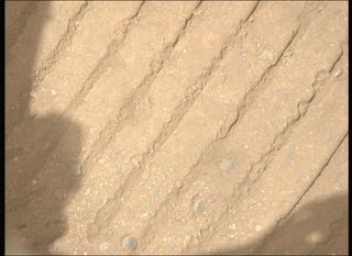 View image taken on Mars, Mars Perseverance Sol 1717: Left Mastcam-Z Camera