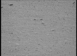 View image taken on Mars, Mars Perseverance Sol 1717: Left Mastcam-Z Camera