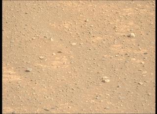 View image taken on Mars, Mars Perseverance Sol 1717: Left Mastcam-Z Camera