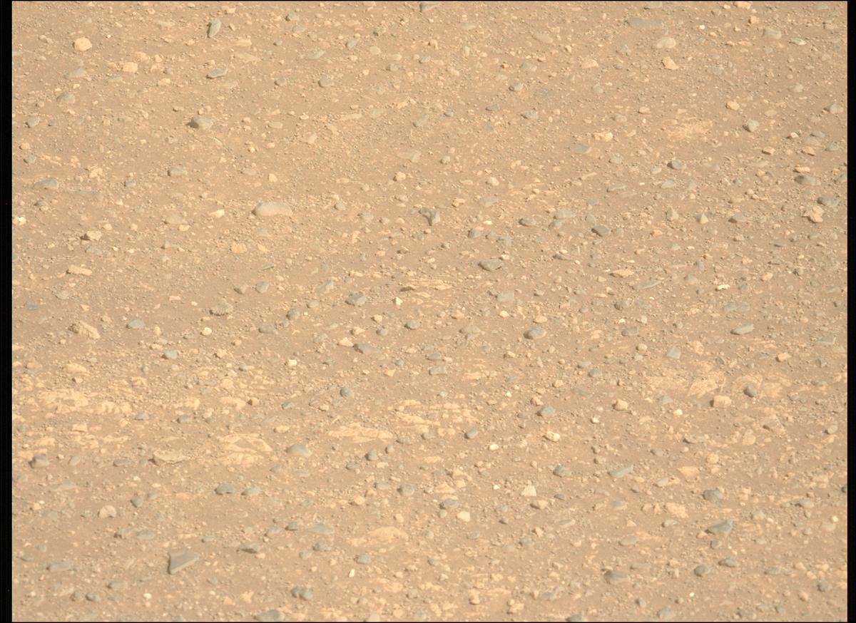 This image was taken by MCZ_LEFT onboard NASA's Mars rover Perseverance on Sol 1717