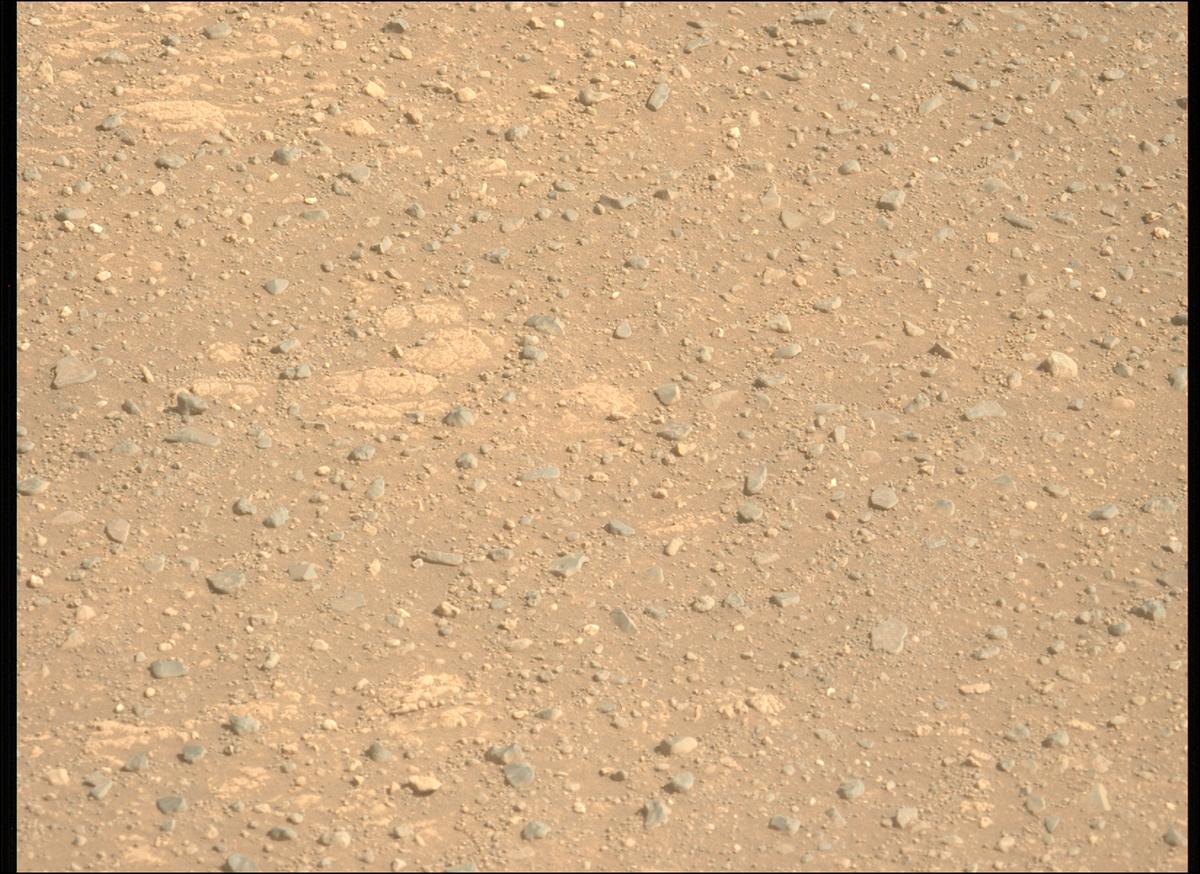 This image was taken by MCZ_LEFT onboard NASA's Mars rover Perseverance on Sol 1717