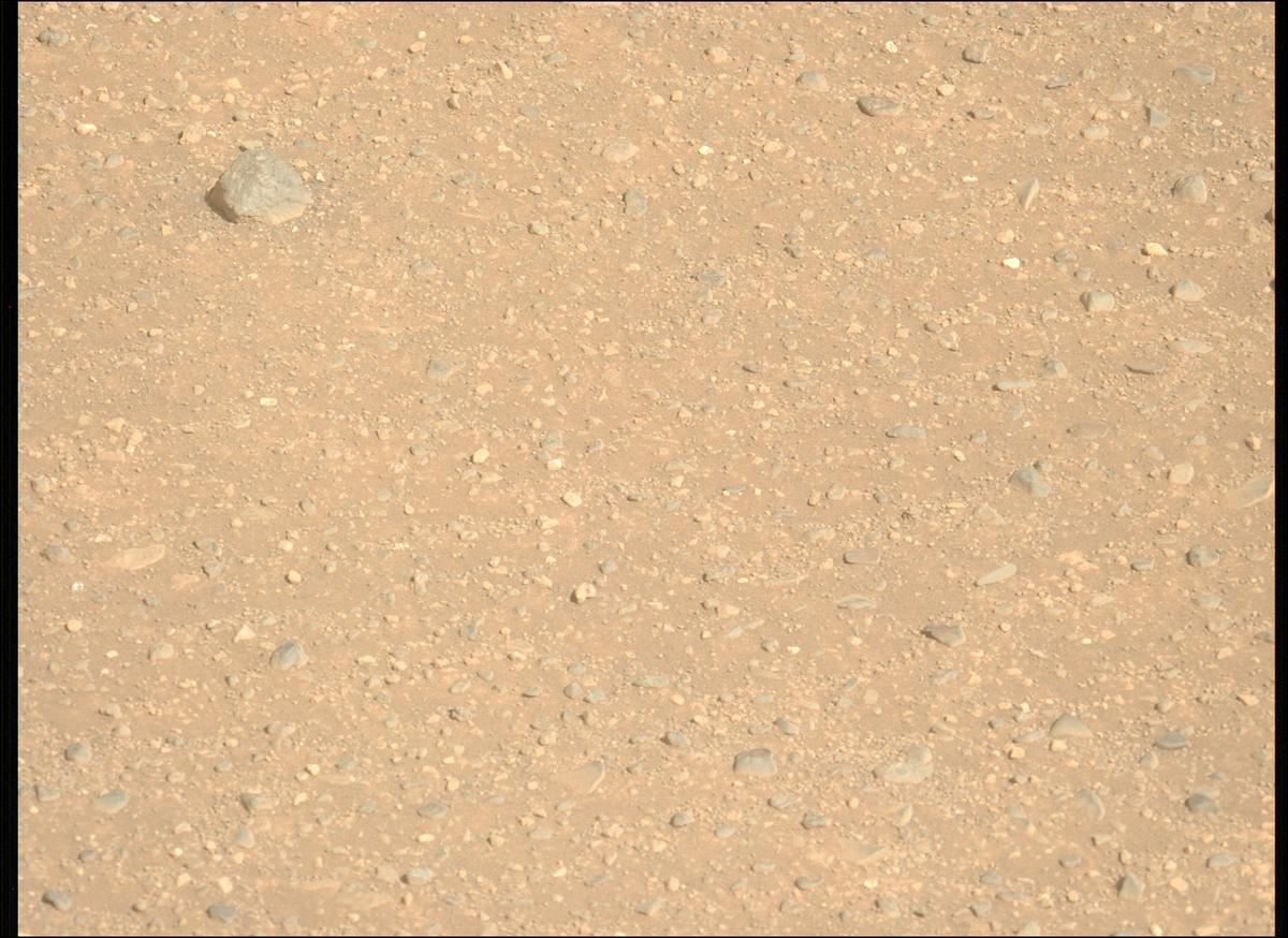 This image was taken by MCZ_LEFT onboard NASA's Mars rover Perseverance on Sol 1717