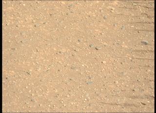 View image taken on Mars, Mars Perseverance Sol 1717: Left Mastcam-Z Camera
