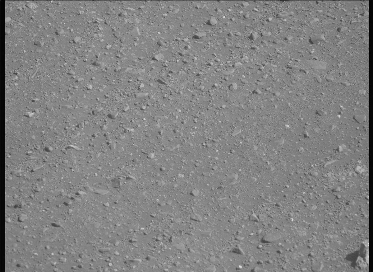 This image was taken by MCZ_LEFT onboard NASA's Mars rover Perseverance on Sol 1717