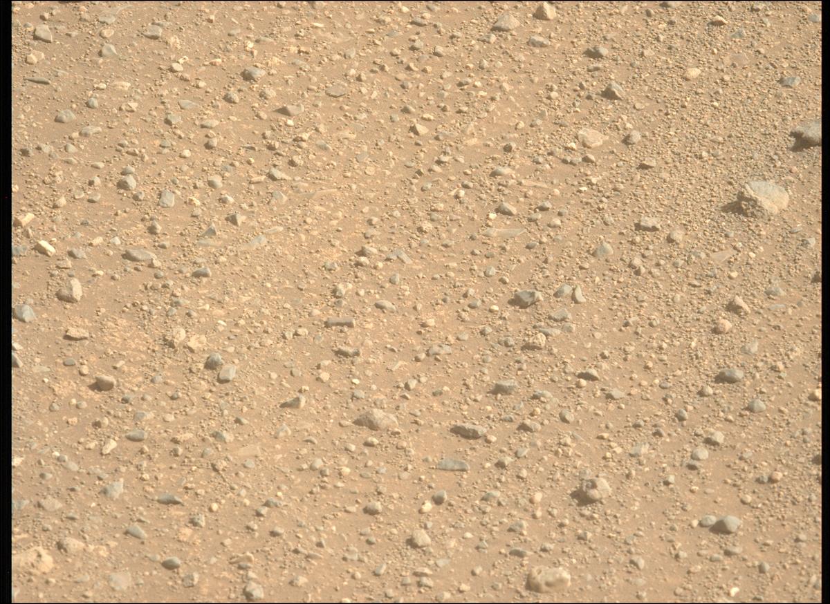 This image was taken by MCZ_LEFT onboard NASA's Mars rover Perseverance on Sol 1717