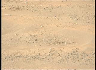 View image taken on Mars, Mars Perseverance Sol 1717: Left Mastcam-Z Camera
