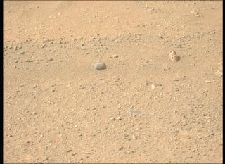 View image taken on Mars, Mars Perseverance Sol 1717: Left Mastcam-Z Camera