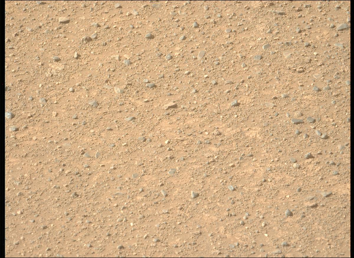 This image was taken by MCZ_LEFT onboard NASA's Mars rover Perseverance on Sol 1717