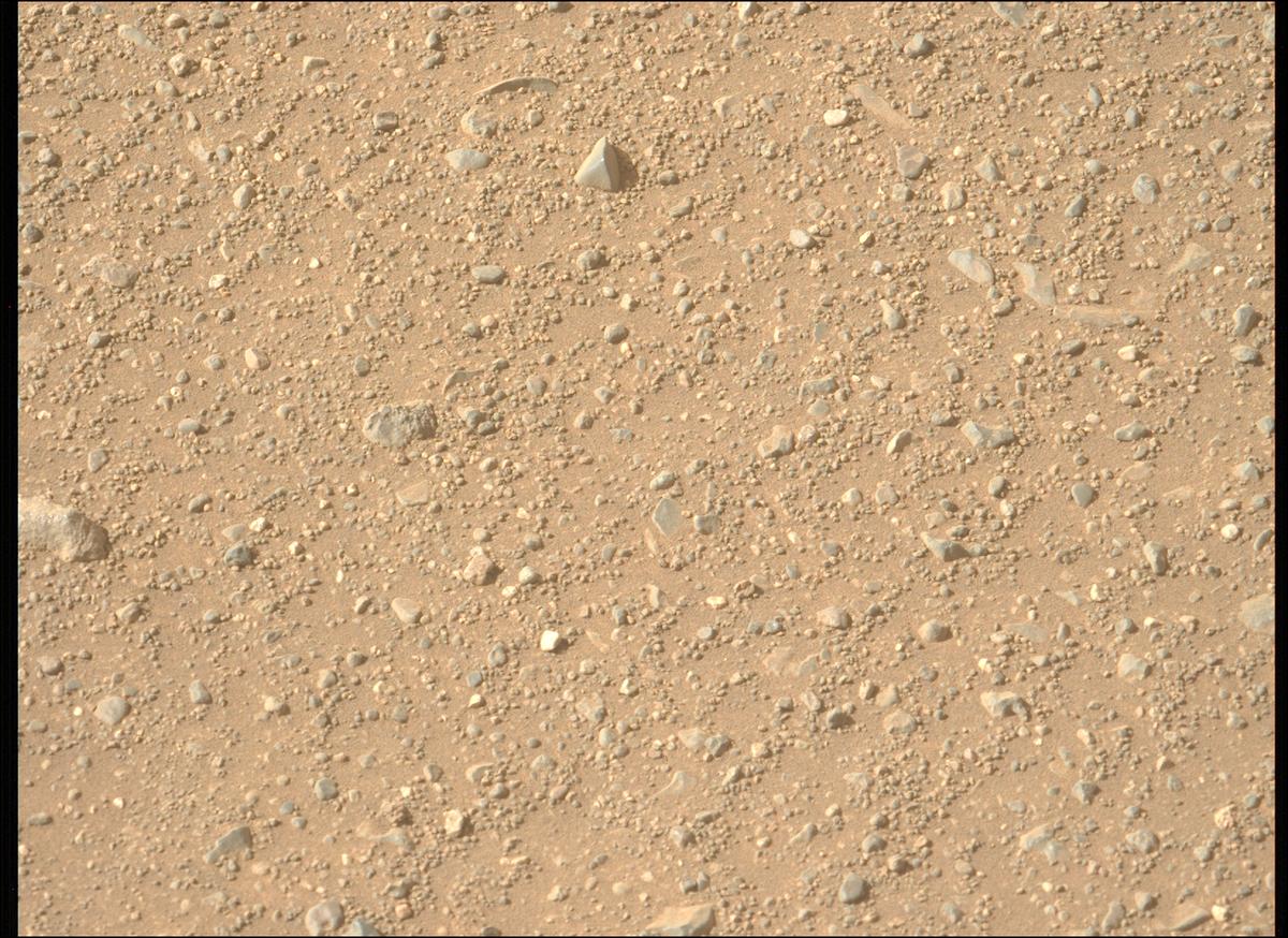 This image was taken by MCZ_LEFT onboard NASA's Mars rover Perseverance on Sol 1717