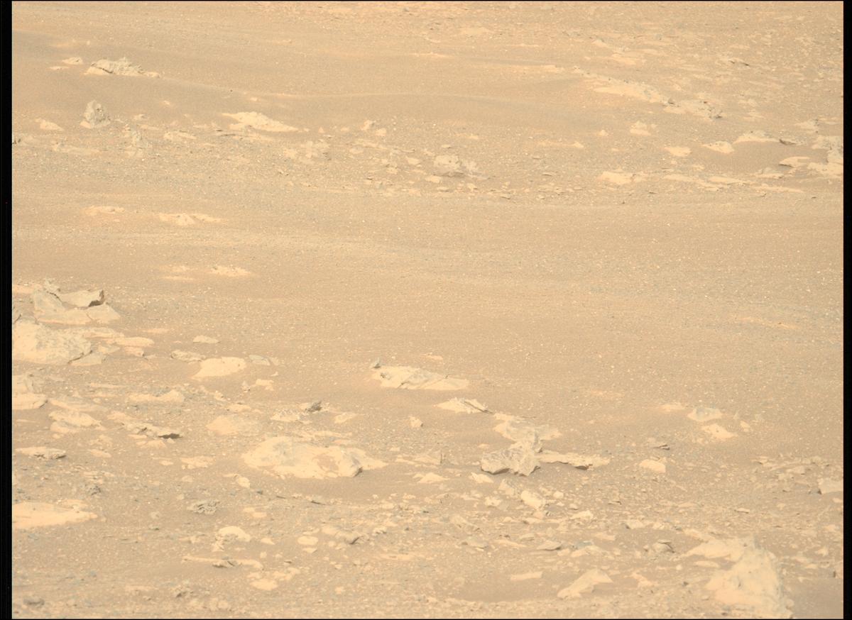 This image was taken by MCZ_LEFT onboard NASA's Mars rover Perseverance on Sol 1717