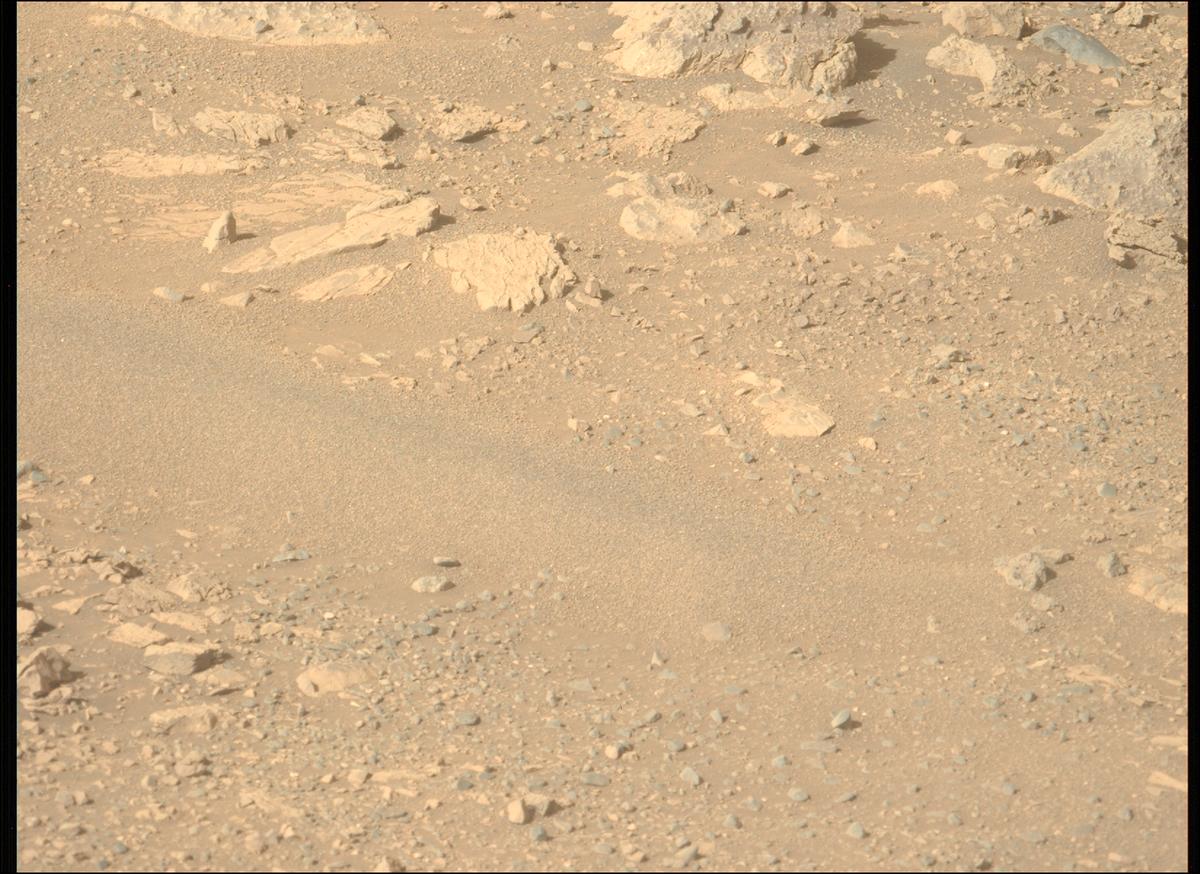 This image was taken by MCZ_LEFT onboard NASA's Mars rover Perseverance on Sol 1717