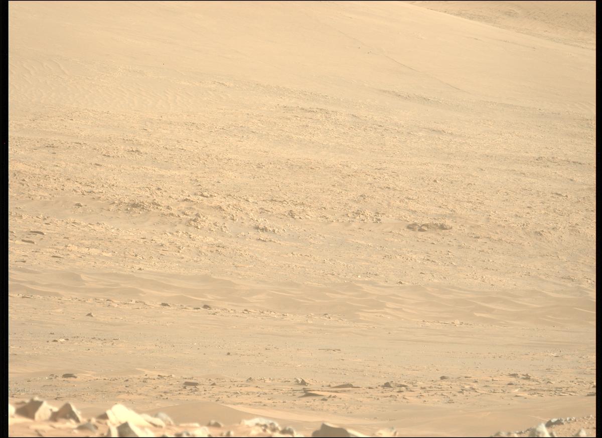 This image was taken by MCZ_LEFT onboard NASA's Mars rover Perseverance on Sol 1717