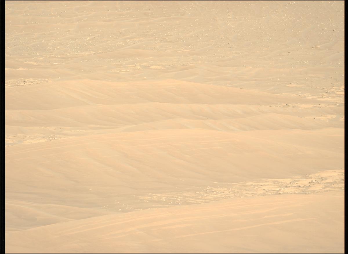 This image was taken by MCZ_LEFT onboard NASA's Mars rover Perseverance on Sol 1717