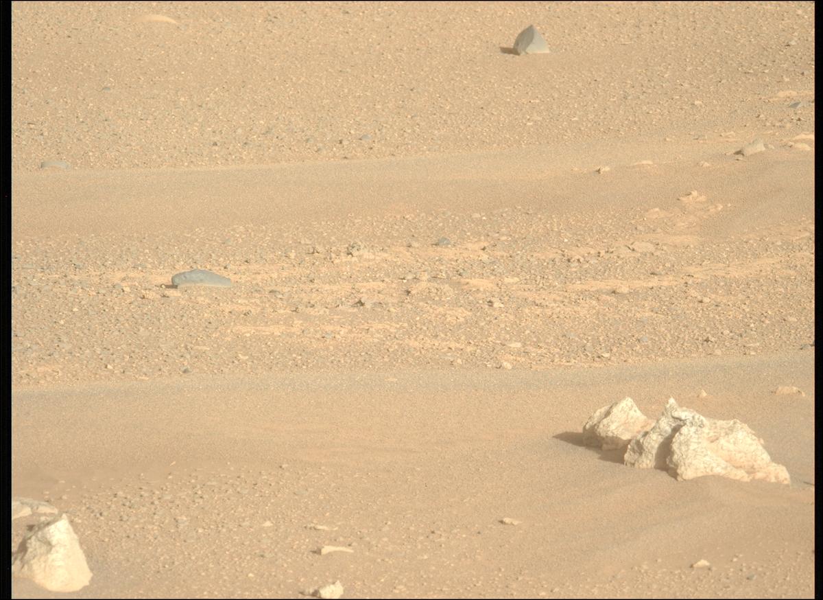 This image was taken by MCZ_LEFT onboard NASA's Mars rover Perseverance on Sol 1717