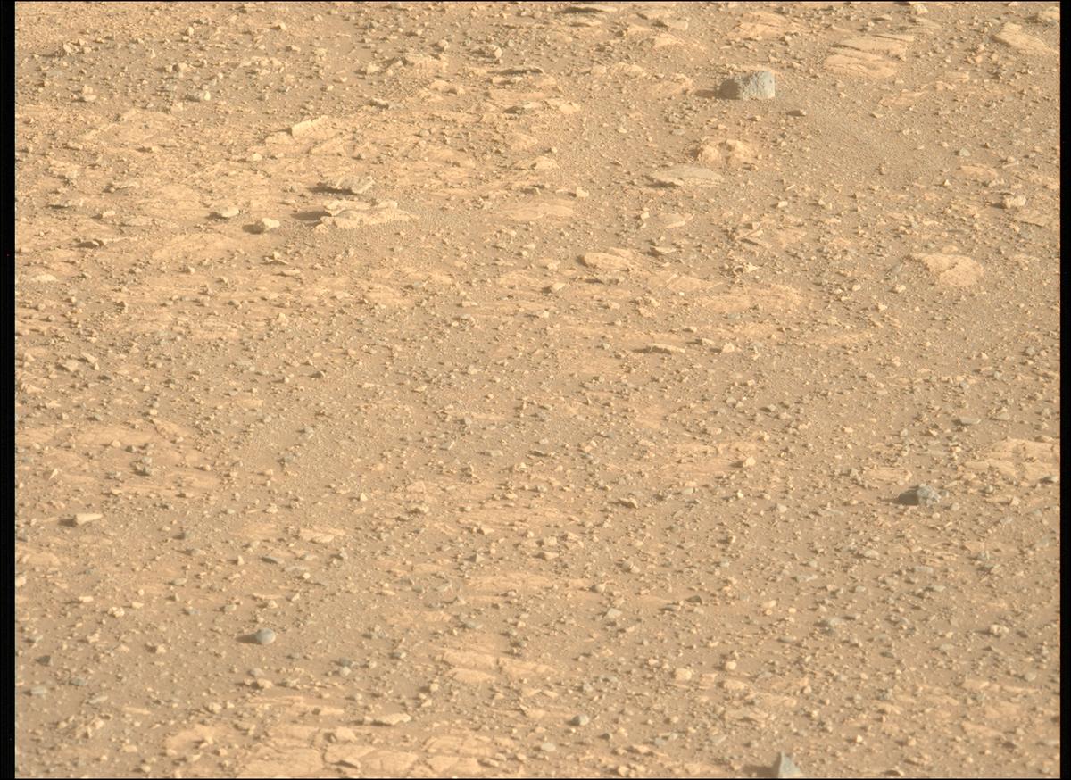 This image was taken by MCZ_LEFT onboard NASA's Mars rover Perseverance on Sol 1717