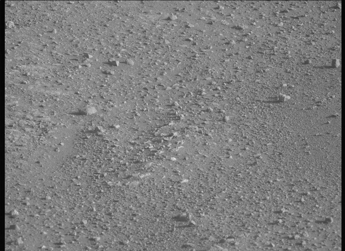 This image was taken by MCZ_LEFT onboard NASA's Mars rover Perseverance on Sol 1717