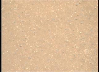View image taken on Mars, Mars Perseverance Sol 1717: Right Mastcam-Z Camera