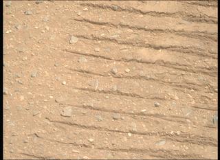 View image taken on Mars, Mars Perseverance Sol 1717: Right Mastcam-Z Camera