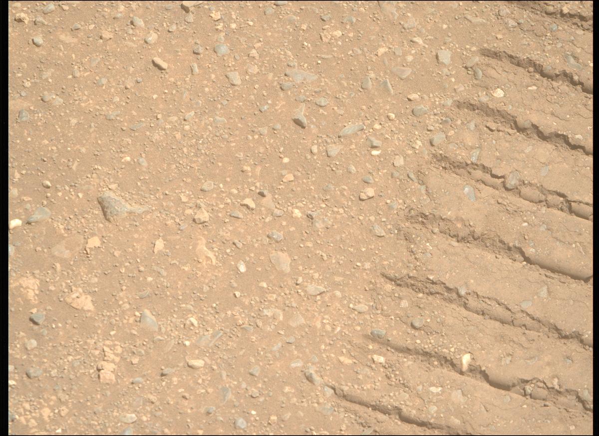 This image was taken by MCZ_RIGHT onboard NASA's Mars rover Perseverance on Sol 1717