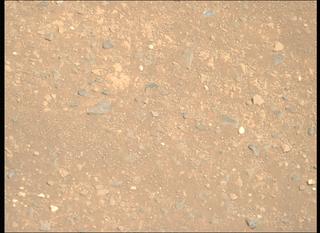 View image taken on Mars, Mars Perseverance Sol 1717: Right Mastcam-Z Camera