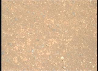 View image taken on Mars, Mars Perseverance Sol 1717: Right Mastcam-Z Camera