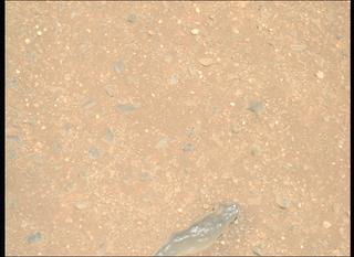 View image taken on Mars, Mars Perseverance Sol 1717: Right Mastcam-Z Camera