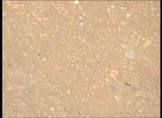 View image taken on Mars, Mars Perseverance Sol 1717: Right Mastcam-Z Camera