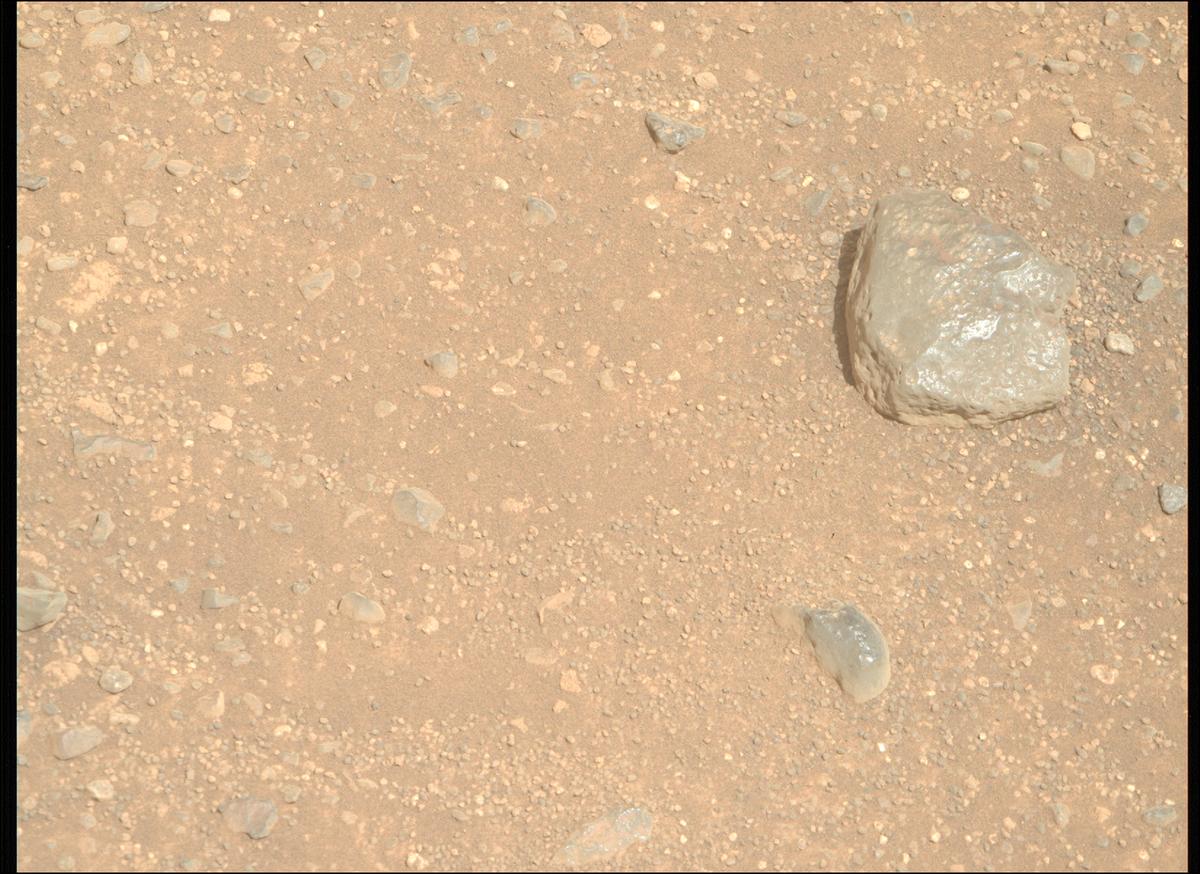 Image of the Week taken by Perseverance