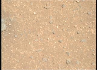View image taken on Mars, Mars Perseverance Sol 1717: Right Mastcam-Z Camera