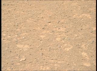 View image taken on Mars, Mars Perseverance Sol 1717: Right Mastcam-Z Camera