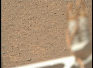 View image taken on Mars, Mars Perseverance Sol 1717: Right Mastcam-Z Camera