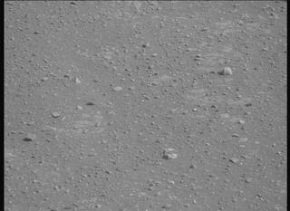View image taken on Mars, Mars Perseverance Sol 1717: Right Mastcam-Z Camera
