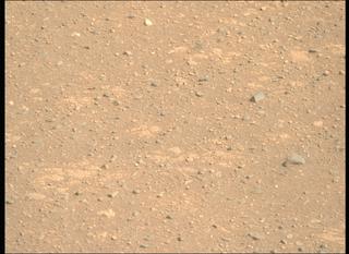View image taken on Mars, Mars Perseverance Sol 1717: Right Mastcam-Z Camera
