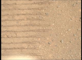 View image taken on Mars, Mars Perseverance Sol 1717: Right Mastcam-Z Camera