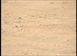 View image taken on Mars, Mars Perseverance Sol 1717: Right Mastcam-Z Camera